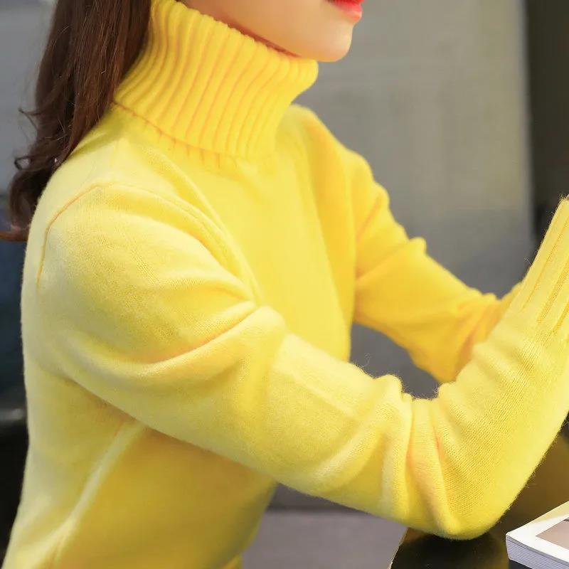 Women's cotton sweater | La Parisienne